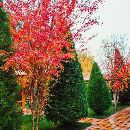 Отель Grace Garden Kum Экстерьер фото