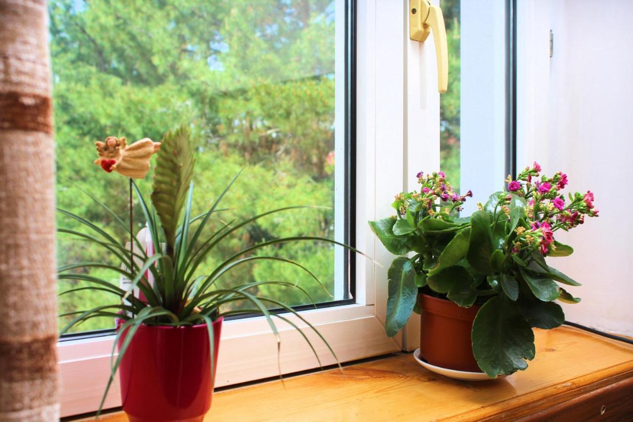 Отель Grace Garden Kum Экстерьер фото