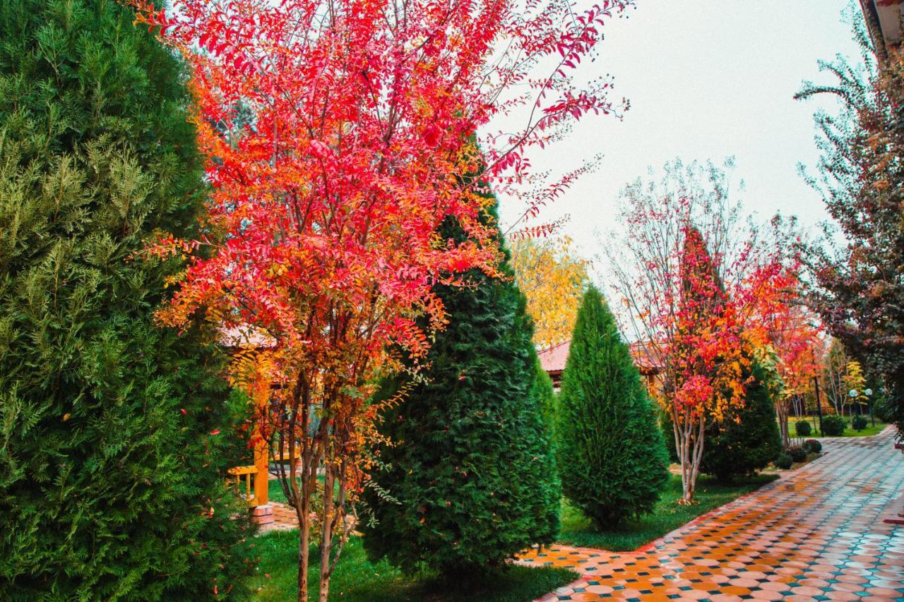 Отель Grace Garden Kum Экстерьер фото